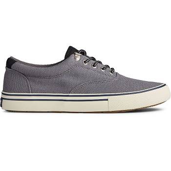 Sperry Striper Storm Cvo Siva - Panske Tenisky